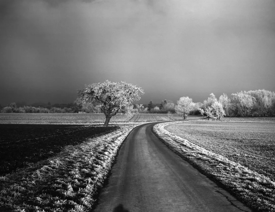 Leica Monopan 50 Sample Photo